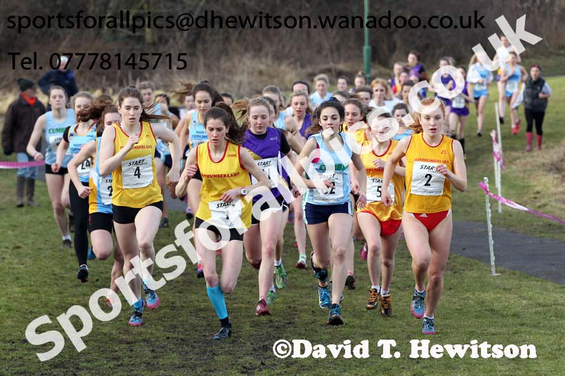 Inter Counties Schools Cross Country, Temple Park, South Shields. Photo: David T. Hewitson/Sports for All Pics